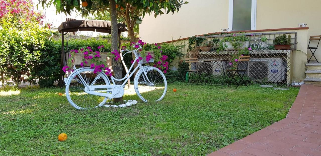 Villa Noemi Bed&Breakfast Pisa Exterior foto